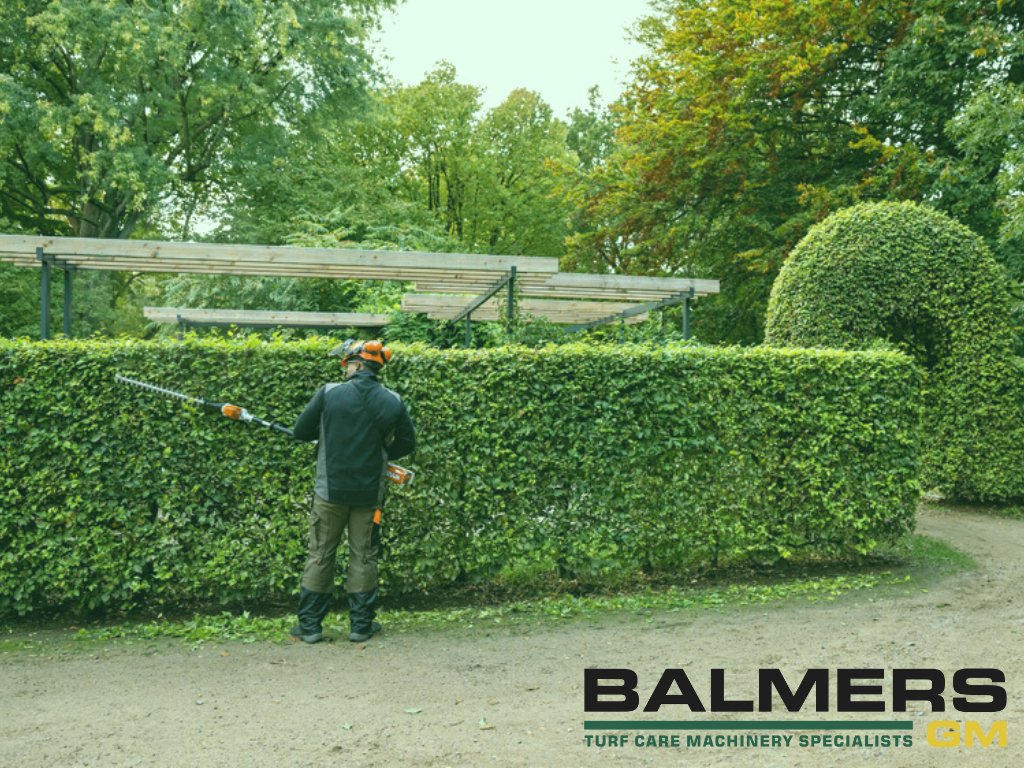 Stihl Hedge Trimmers - Balmers GM Buyers Guide