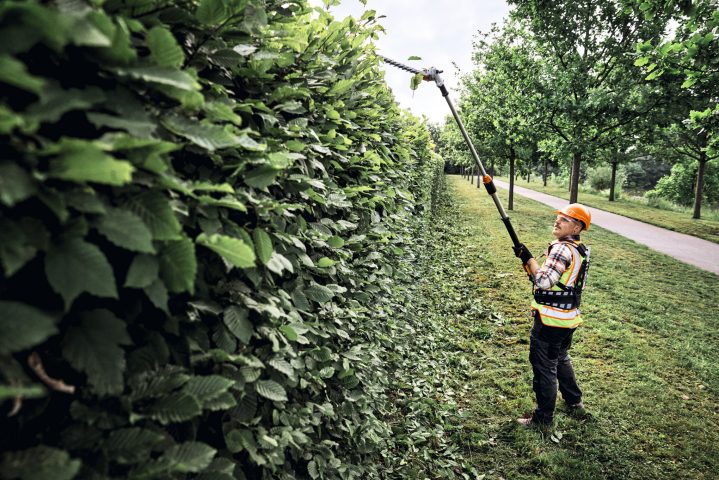 Stihl HLA 150 B Battery Long-Reach Hedge Trimmer - AP System