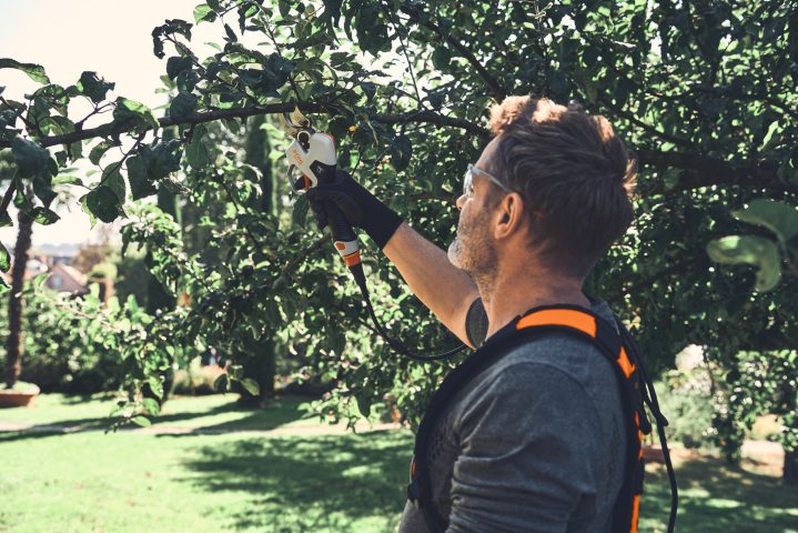 Stihl ASA 140 Battery Lopping Shears - AP System