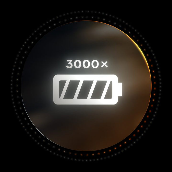 Stihl AP 300 P ALLPRO Battery