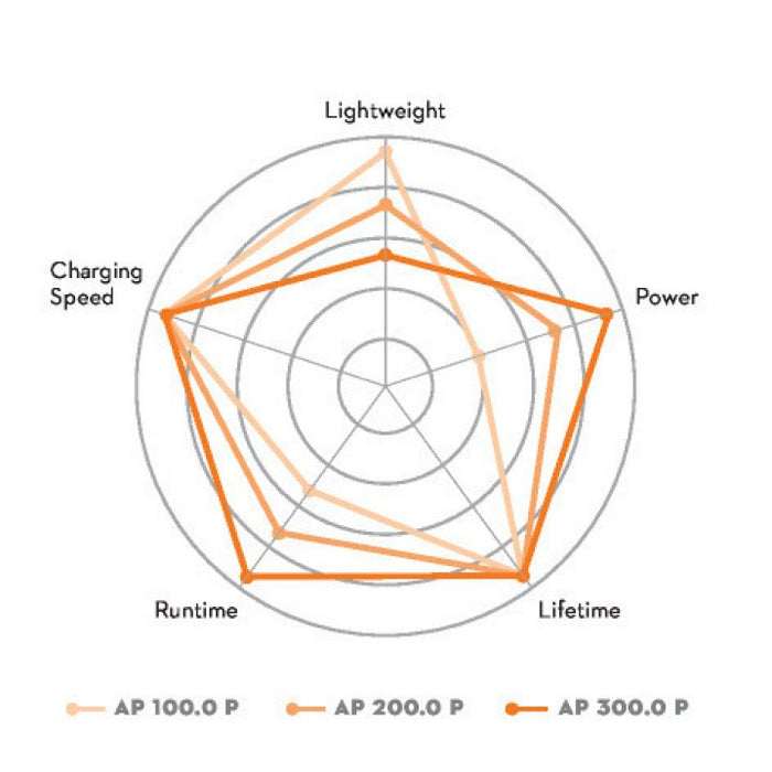 Stihl AP 300 P ALLPRO Battery